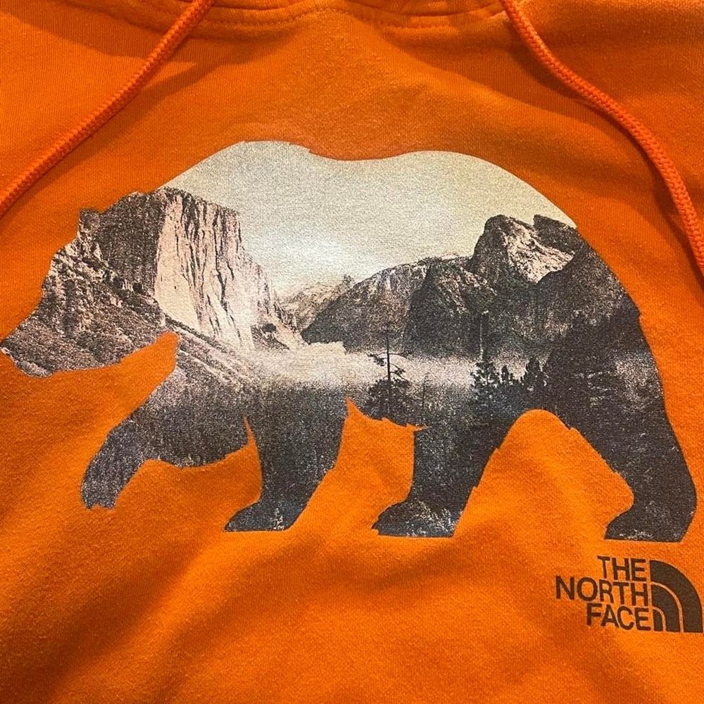 The North Face Hoodie Mens XL Orange Bear Mountain Graphic Pullover Gorpcore - Picture 2 of 8